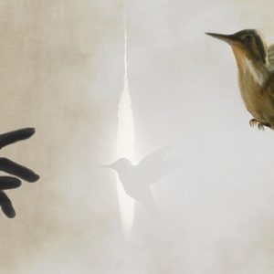 Sia Vaiz - The Hummingbird - Cover