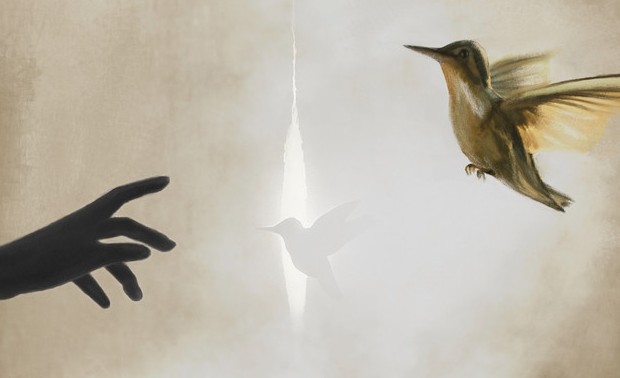 Sia Vaiz - The Hummingbird - Cover