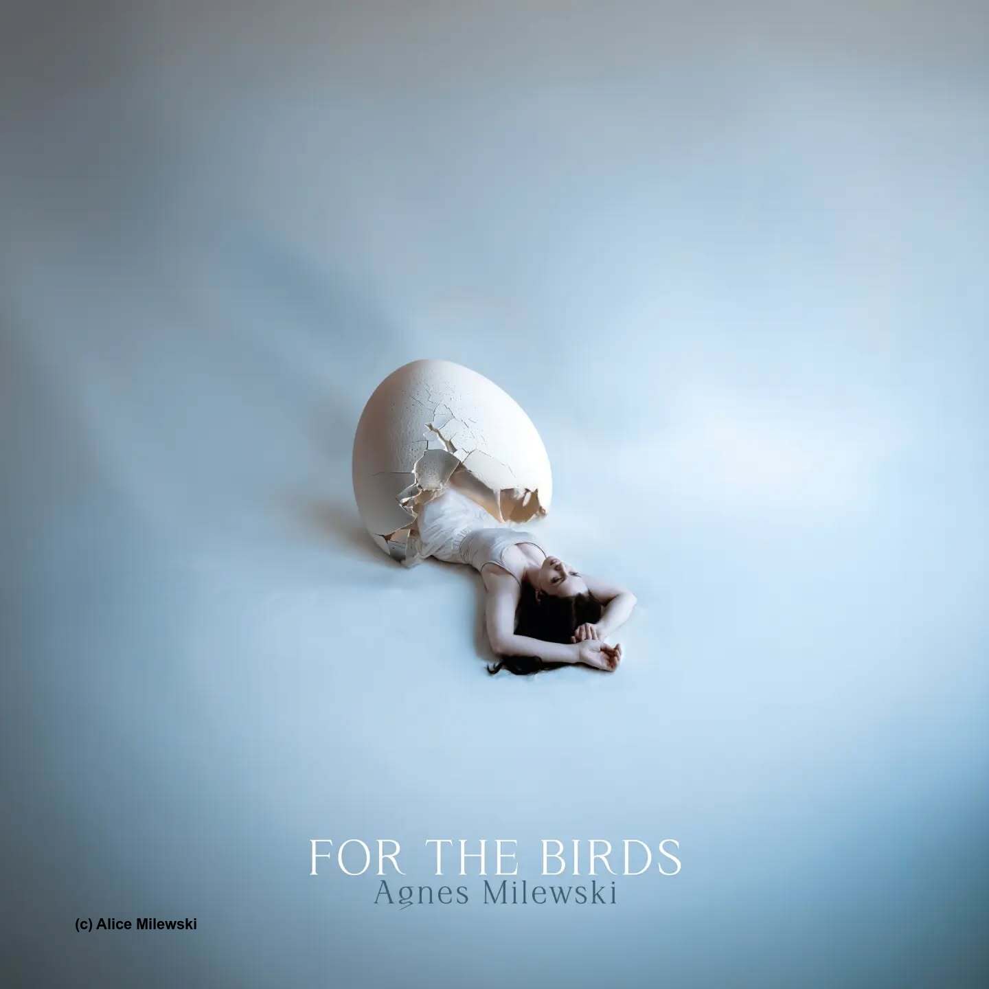 For the Birds - Agnes Milewski